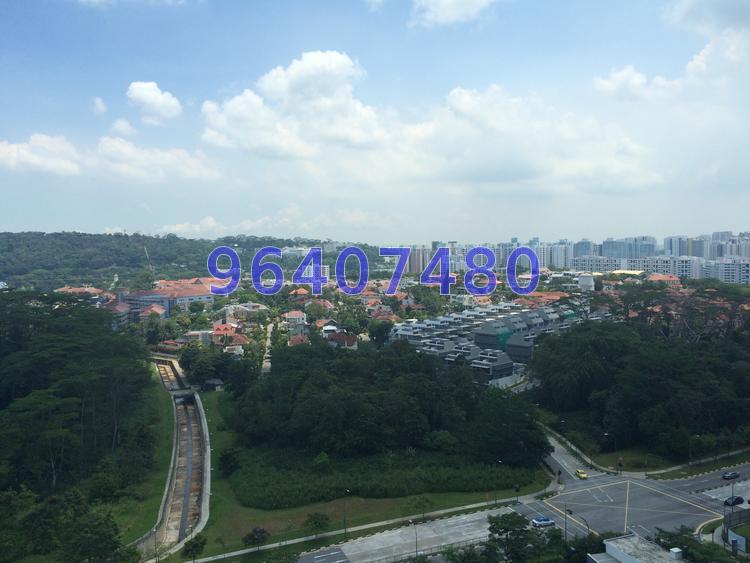 Foresque Residences (D23), Condominium #63981342